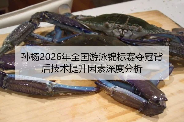 孙杨2026年全国游泳锦标赛夺冠背后技术提升因素深度分析