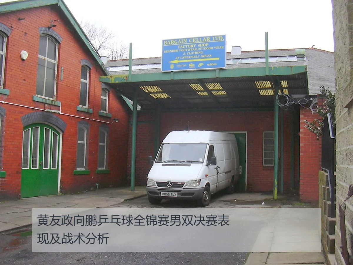 黄友政向鹏乒乓球全锦赛男双决赛表现及战术分析