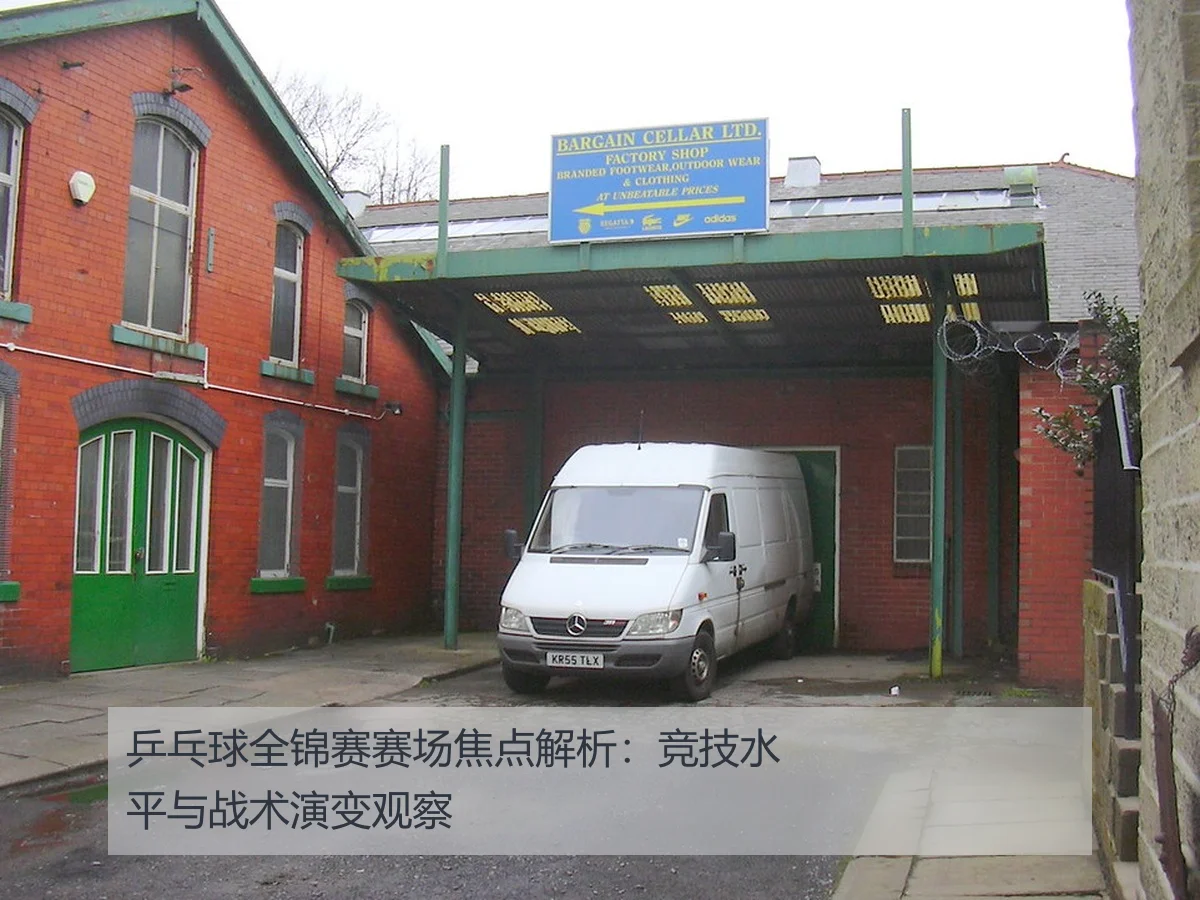 乒乓球全锦赛赛场焦点解析：竞技水平与战术演变观察