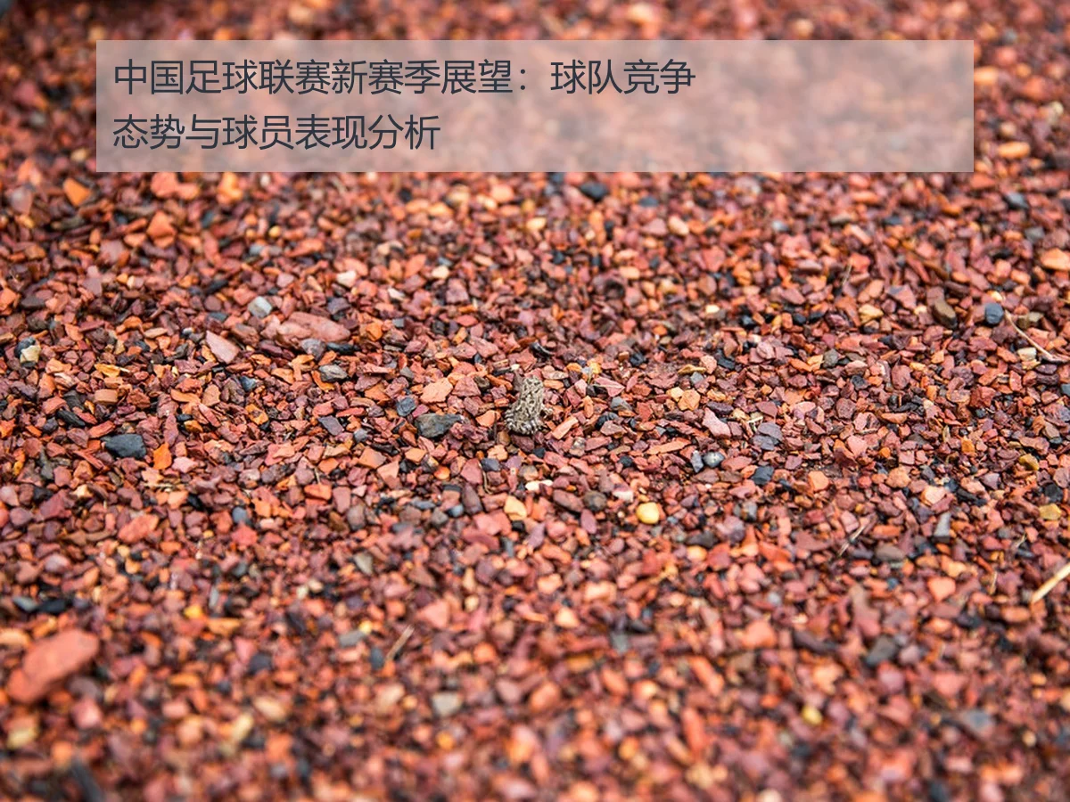 中国足球联赛新赛季展望:球队竞争态势与球员表现分析